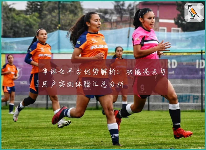 华体会平台优势解析：功能亮点与用户实测体验汇总分析